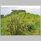Waiheke Island 096.jpg